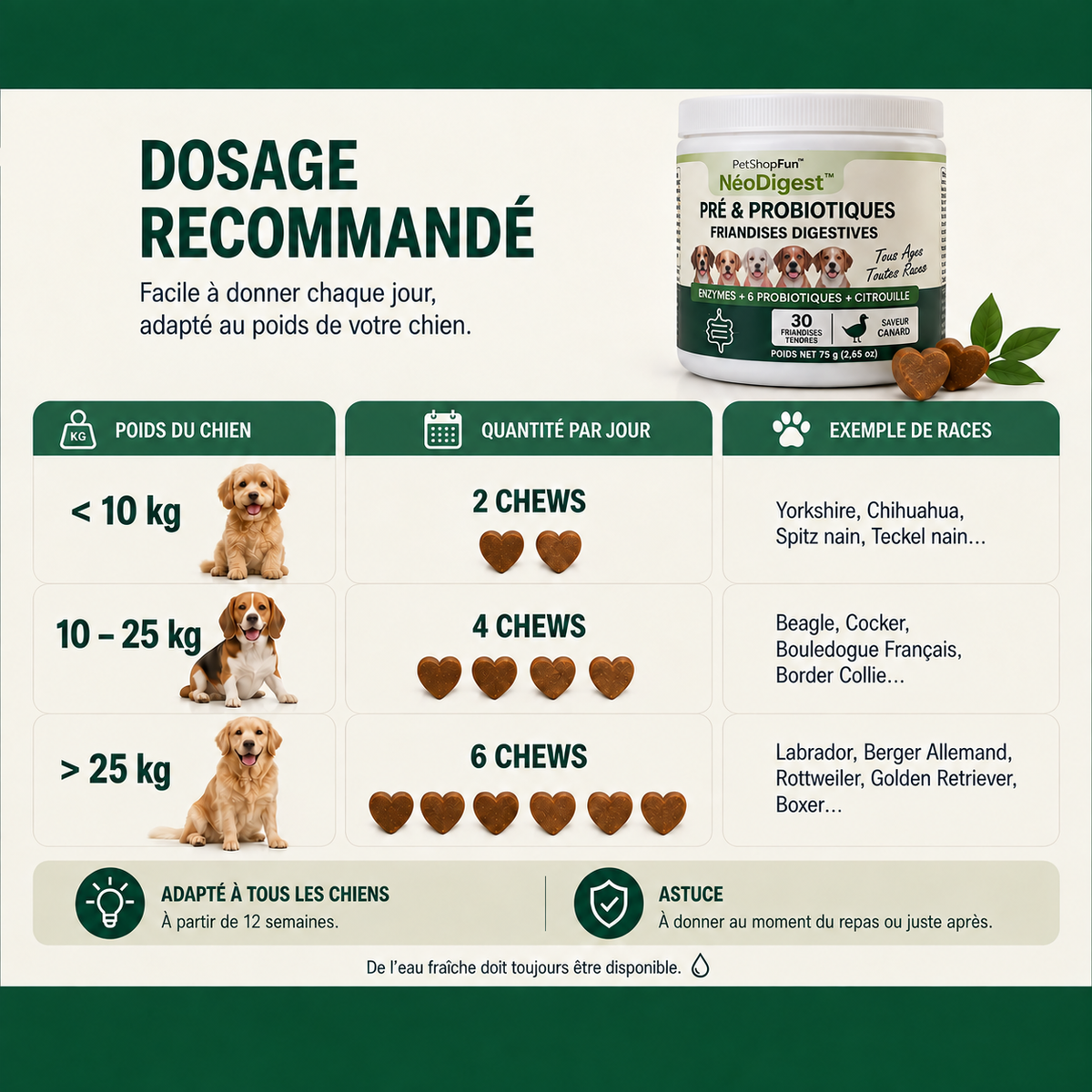 NéoDigest – Complément Digestif Premium (30)
