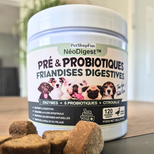 NéoDigest – Complément Digestif Premium