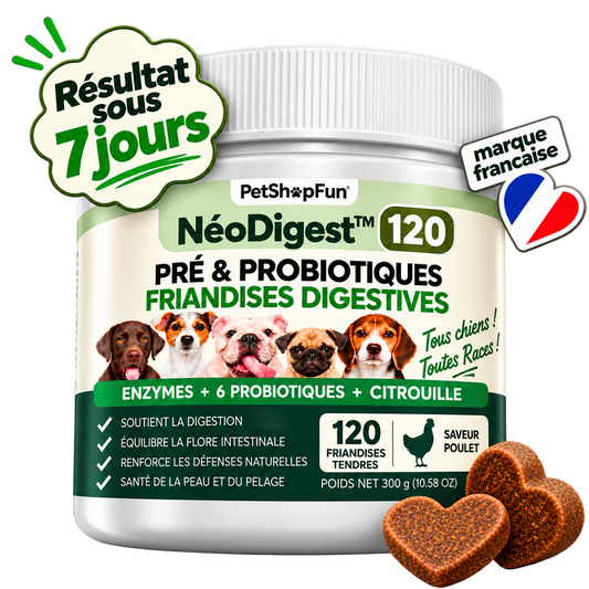 NéoDigest 120 friandises