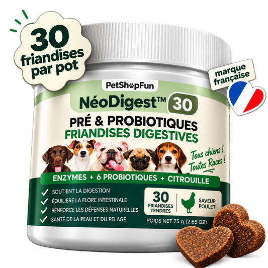 NéoDigest 30 friandises