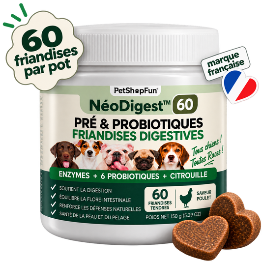 NéoDigest 60 friandises