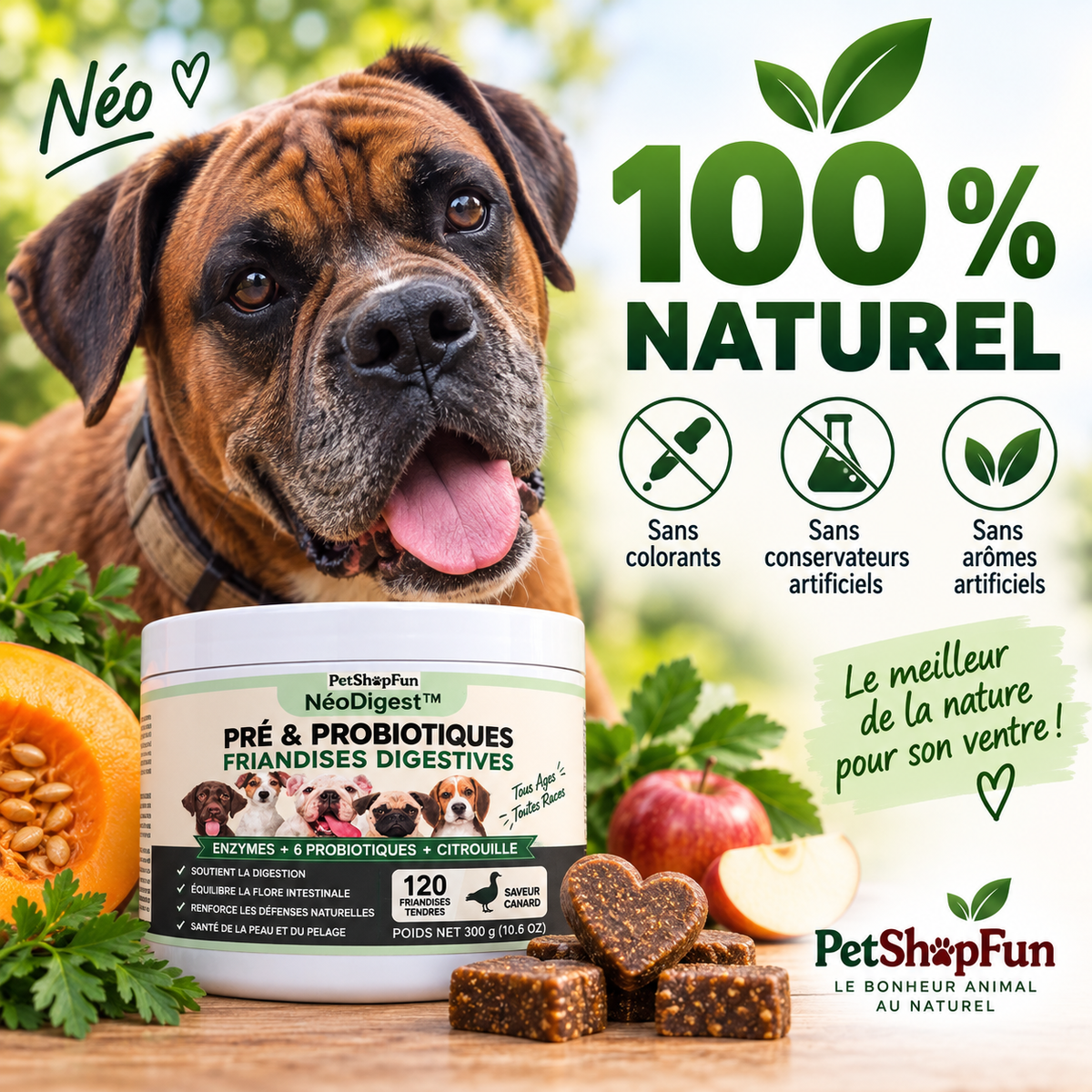 NéoDigest – Complément Digestif Premium