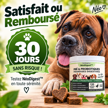 NéoDigest – Complément Digestif Premium
