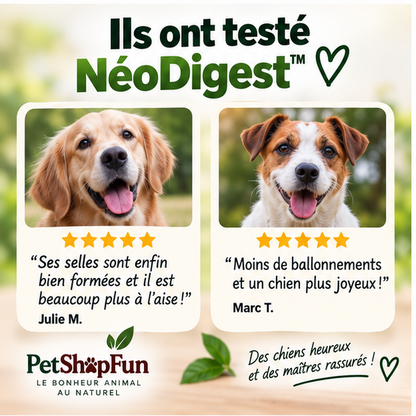 NéoDigest – Complément Digestif Premium
