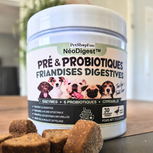 NéoDigest – Complément Digestif Premium (30)